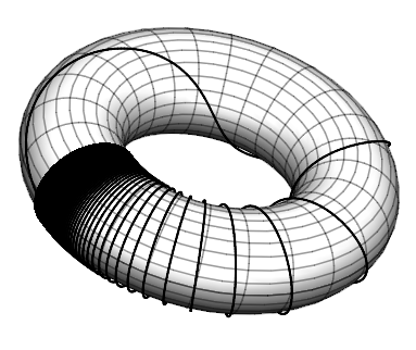 A map from [0,1] to [0,1] can be transplanted to a torus.  Here is G(x) = frac(1/x).
